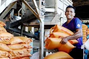 Hạt gạo làng ta đi xa muôn nẻo