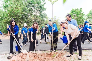 Xung kích tình nguyện vì cộng đồng