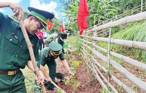 Phát huy tinh thần xung kích của tuổi trẻ.