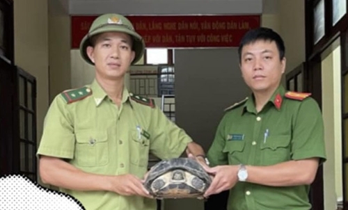 Receiving three individuals of rare and precious wild animals