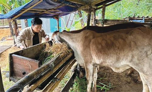 Trao sinh kế giúp đồng bào dân tộc thiểu số thoát nghèo