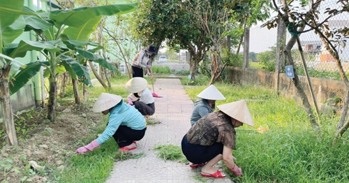 Hiệu ứng từ các phong trào.