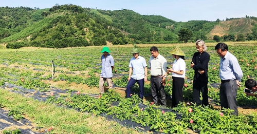 Giảm nghèo bền vững gắn với xây dựng nông thôn mới