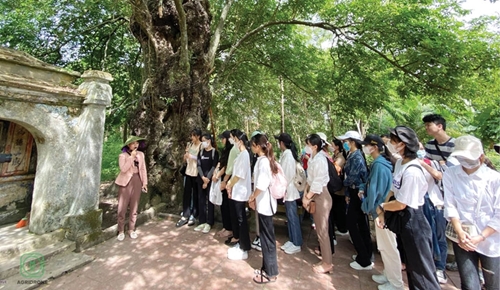 Preparing dossier for Phuoc Tich ancient village to be recognized as special relic