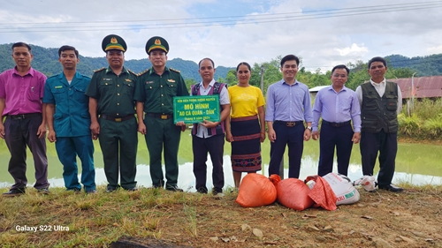 Triển khai mô hình “Ao cá quân – dân”