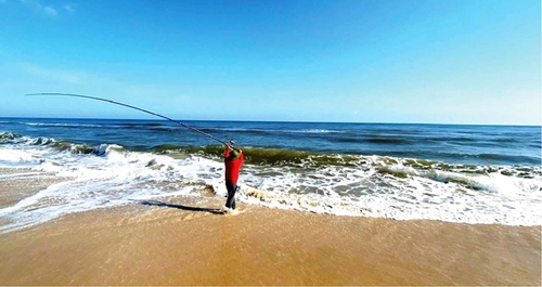 The joy by the shore