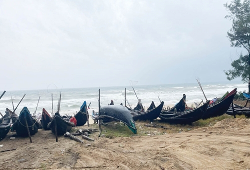 Chủ động phòng, chống, ứng phó thiên tai, bão lũ