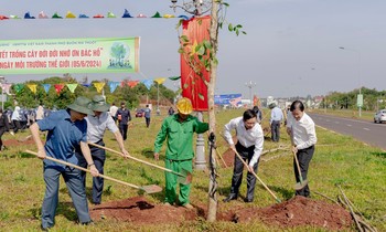 Thêm cây xanh cho thành phố lọt top tỷ lệ cây xanh cao nhất nước