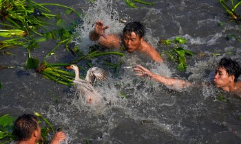 Cả trăm người thi 'lội sông bắt vịt'