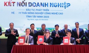 Phát triển nông nghiệp công nghệ cao ở Tây Ninh