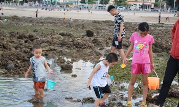 Mò cua, bắt cá ngay giữa lòng phố biển Nha Trang