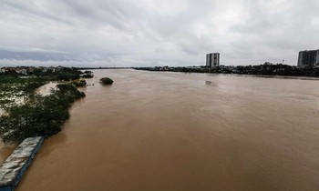 Chủ tịch Hà Nội ra công điện, yêu cầu đảm bảo an toàn đê trên địa bàn