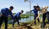 Trồng 6.300 cây xanh chống sạt lở, tạo cảnh quan tại các đền tưởng niệm liệt sĩ ở Quảng Bình