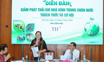 Giảm phát thải khí nhà kính để ngành chăn nuôi phát triển bền vững