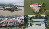 ‘Lũ rừng ngang’ nhấn chìm hàng trăm ngôi nhà ở ngoại thành Hà Nội