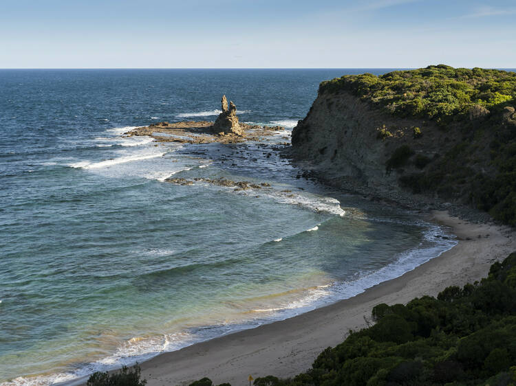 Ăn gì, uống gì, xem gì và làm gì ở Nam Gippsland