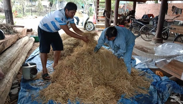 Làm giàu từ rác thải, góp phần bảo vệ môi trường