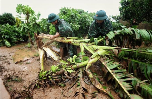 Bắc Giang: Hồi phục sản xuất nông, lâm nghiệp, thủy sản sau bão số 3