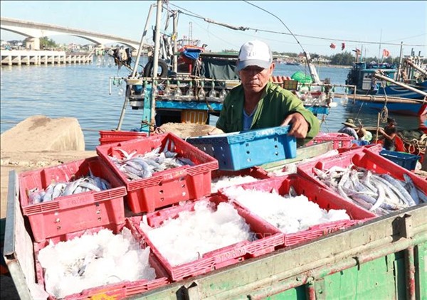 Nâng cao giá trị xuất khẩu surimi và bột cá