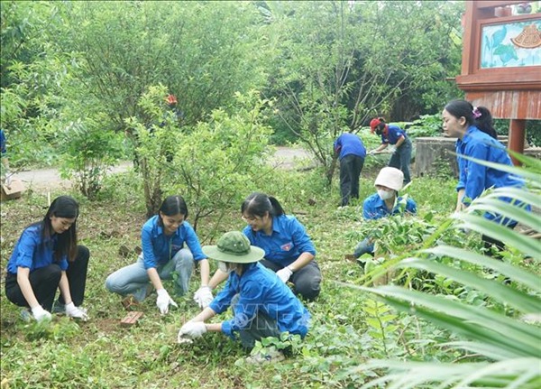 Nhiều hoạt động ý nghĩa của tuổi trẻ Bắc Ninh trong 'Mùa hè xanh'