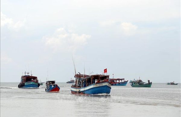 Cà Mau mở cao điểm chống khai thác IUU