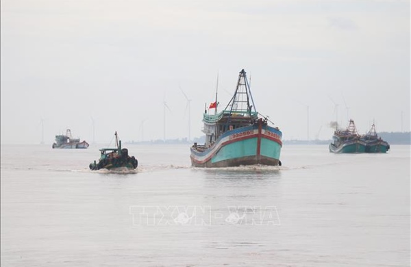 Bến Tre tập trung cao độ chống khai thác IUU