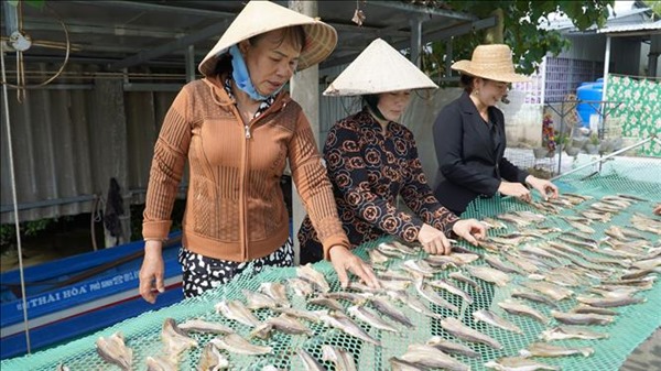 Tất bật chuẩn bị thủy, hải sản khô phục vụ thị trường Tết