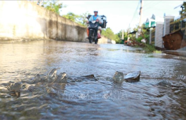 Sóc Trăng tăng cường giải pháp ứng phó triều cường