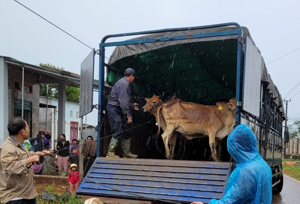 TP. Pleiku: Trao sinh kế cho hộ nghèo, cận nghèo