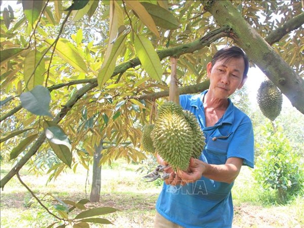 'Đòn bẩy' giúp hộ nghèo phát triển kinh tế bền vững