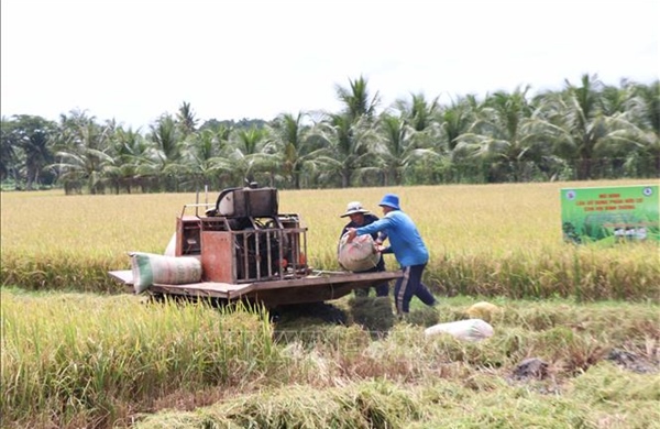 Trà Vinh sẽ xây dựng thêm mô hình chuyên canh lúa chất lượng cao, phát thải thấp