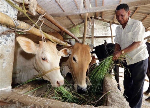 Nâng cao đời sống đồng bào dân tộc thiểu số