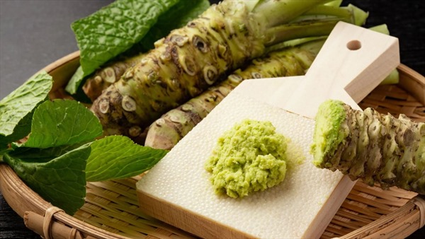 Wasabi có tác dụng cải thiện trí nhớ ở người cao tuổi