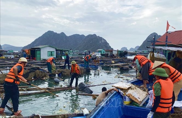 Huy động các lực lượng ra quân làm sạch vịnh Bái Tử Long