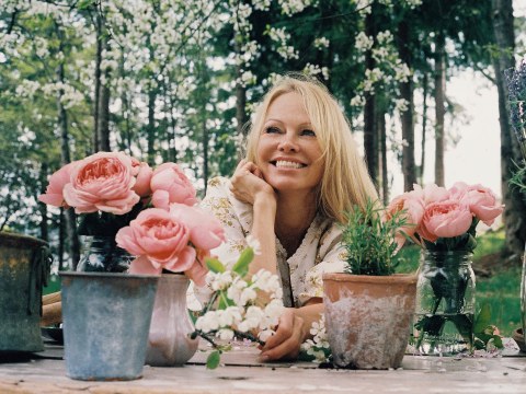 Pamela Anderson muốn thể hiện con người thật của mình trong show HGTV: 'Tôi không phải nhân vật hoạt hình này'