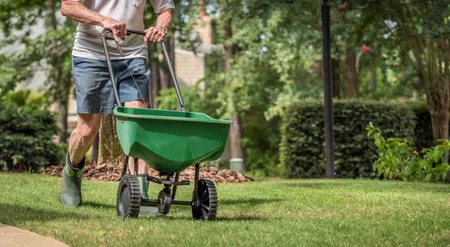 Đây là khi nào và làm thế nào bạn nên thụ phấn cho cỏ — lời khuyên của các chuyên gia