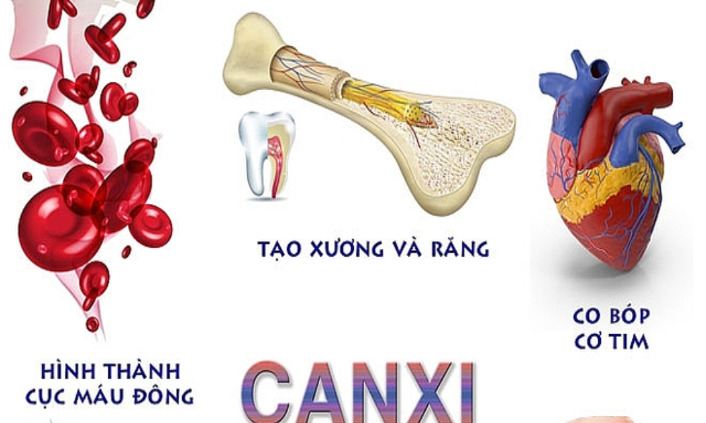 Bổ sung canxi cho người cao tuổi