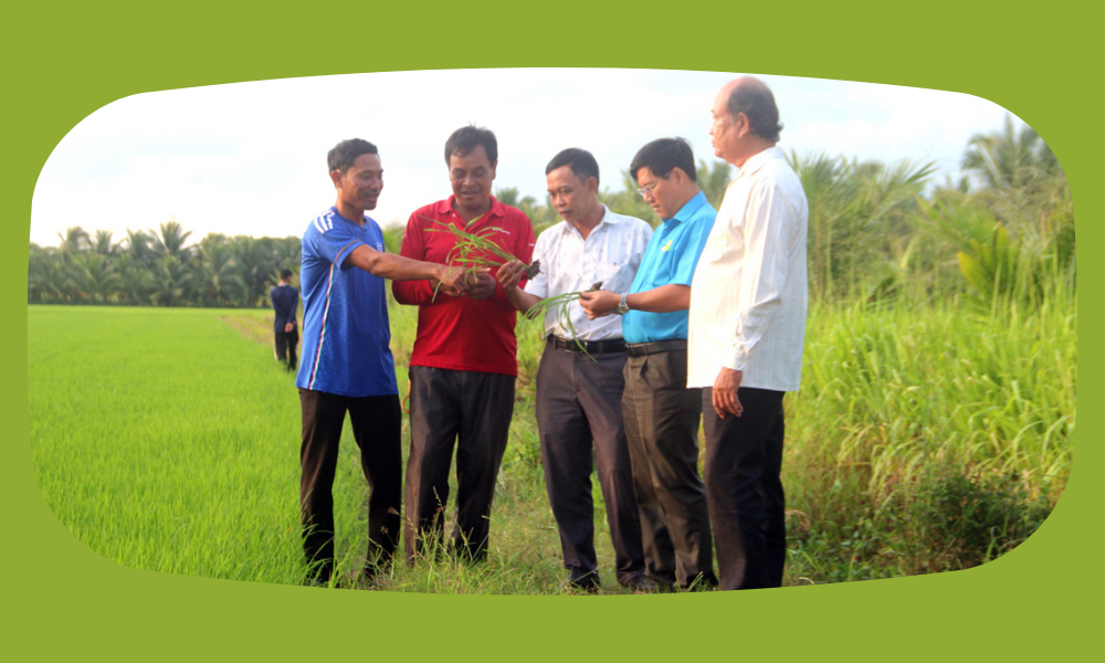 Ông Sơn Mười: Truyền cảm hứng làm giàu cho nông dân Khmer