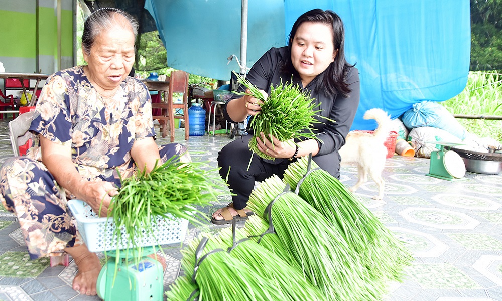 Xã Hiệp Mỹ Tây: Nâng chất các tiêu chí xã nông thôn mới nâng cao