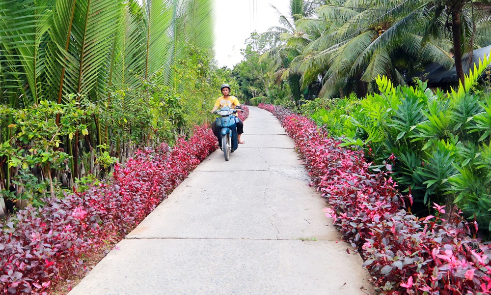 Đảng bộ, chính quyền và Nhân dân xã Đức Mỹ: Chung tay xây dựng thành công xã nông thôn mới kiểu mẫu