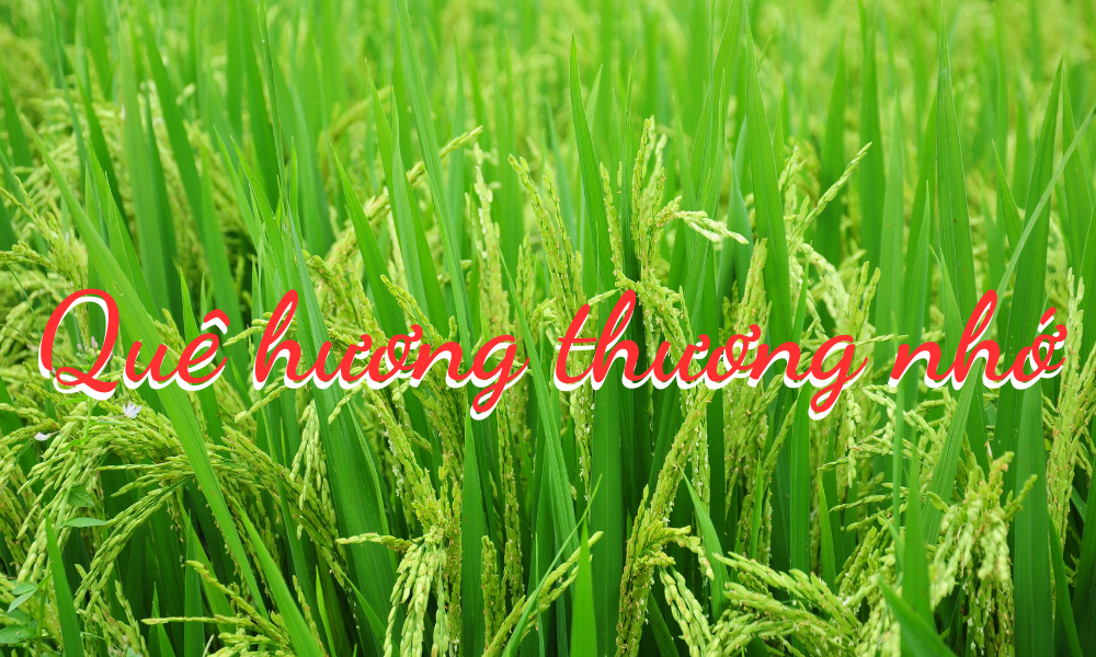 Quê hương thương nhớ