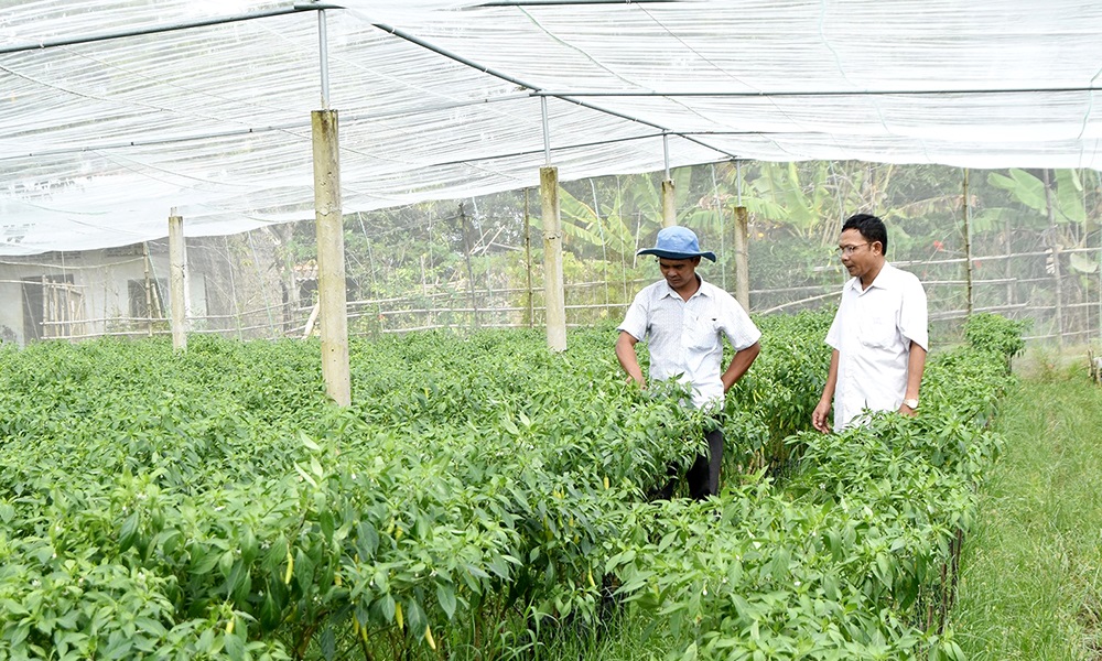 Các giải pháp phòng, chống hạn hán, xâm nhập mặn mùa khô 2023 - 2024