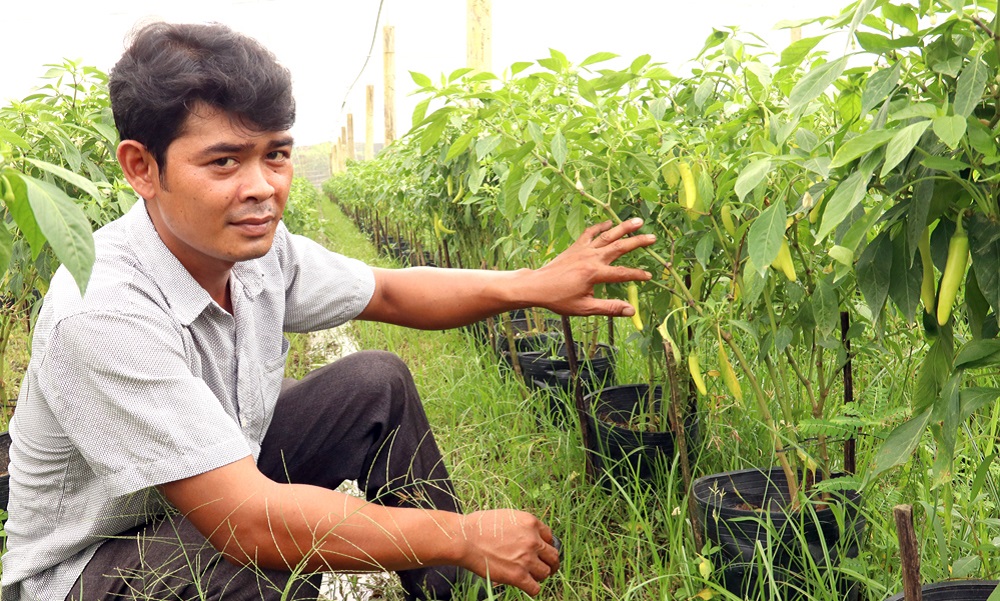 Phát triển mô hình sản xuất thích ứng với biến đổi khí hậu