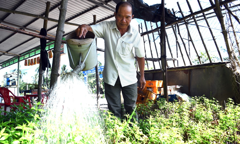 Tập Ngãi tiếp tục nâng chất các tiêu chí xã nông thôn mới nâng cao