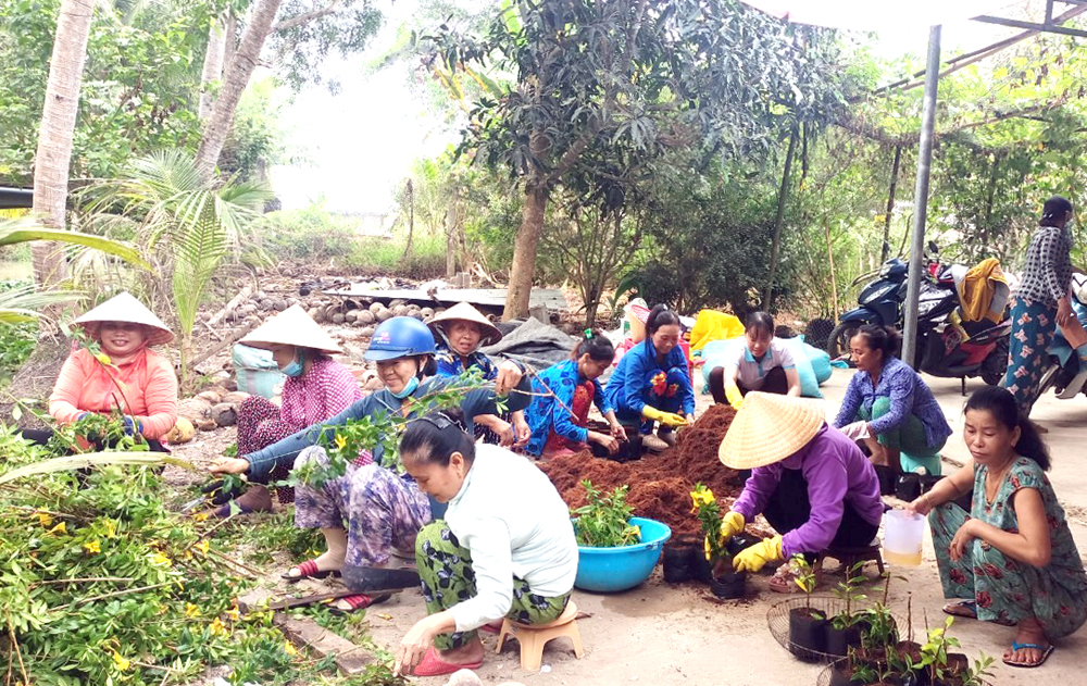 Phụ nữ huyện Tiểu Cần tham gia xây dựng nông thôn mới, đô thị văn minh