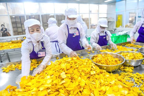 Vietnam’s January-October trade plunge raises concern despite record trade surplus