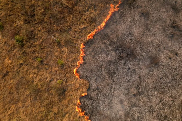 'Breathing smoke': Brazil's Pantanal wetlands hit by record fires