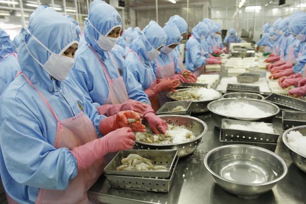 Japan ranks third among importers of Vietnamese shrimp in January-February