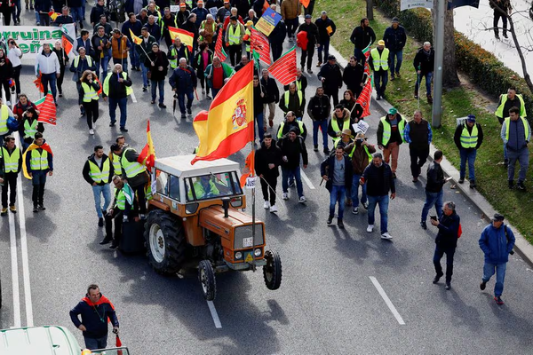 EU countries to demand bloc does more to help farmers, draft statement says