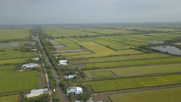 Saline intrusion hits Vietnam’s Ben Tre, Bac Lieu Provinces